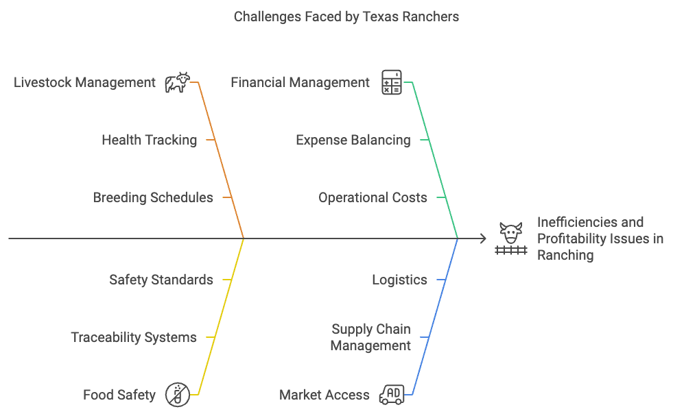 Challenges Faced by Texas Ranchers