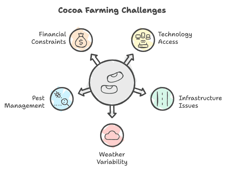 Challenges Faced by Cocoa Farmers in Ghana